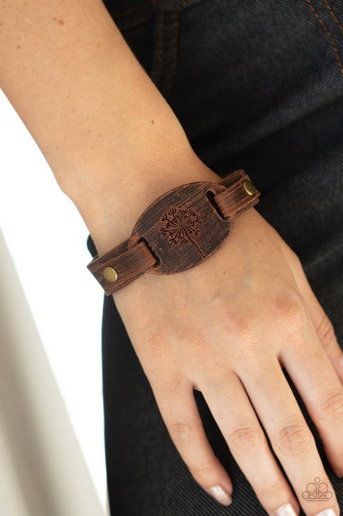 All Fine and DANDELION Brown Urban Bracelet (Spicy 344)